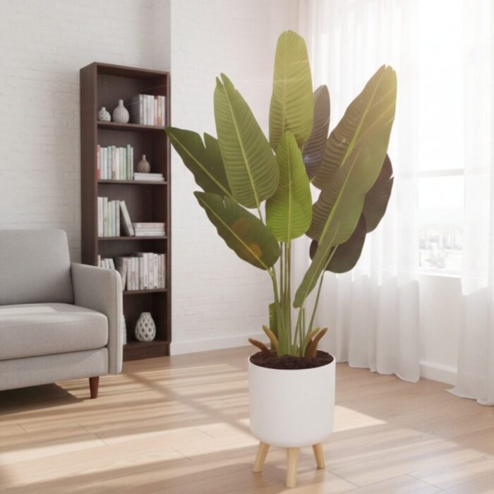 import placeholder for 5918